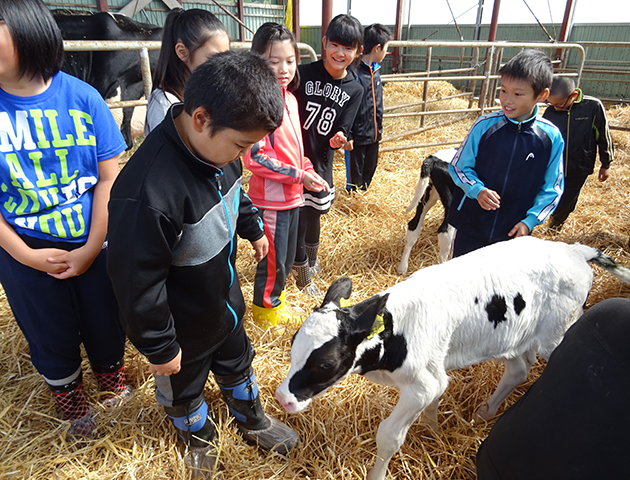 子ども農業体験学習 牧場